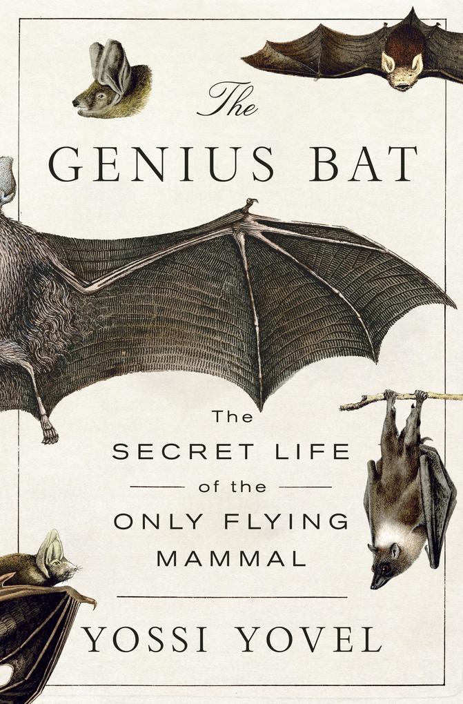 Yossi Yovel yossi yovel the genius bat